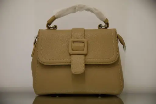 Brown ladies Handbag