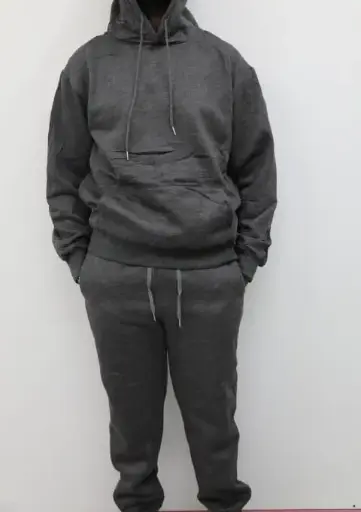 Hoodie and jogger suit
